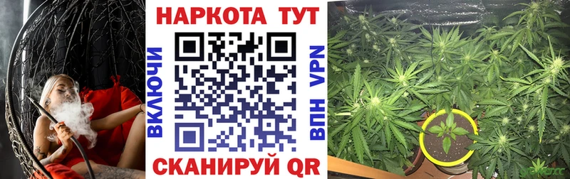 Где можно купить наркотики Злынка Cocaine АМФЕТАМИН Бошки Шишки ГЕРОИН Альфа ПВП Меф мяу мяу