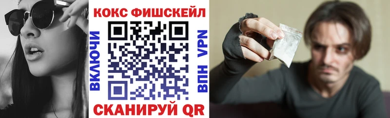 COCAIN Fish Scale  закладки  Злынка 