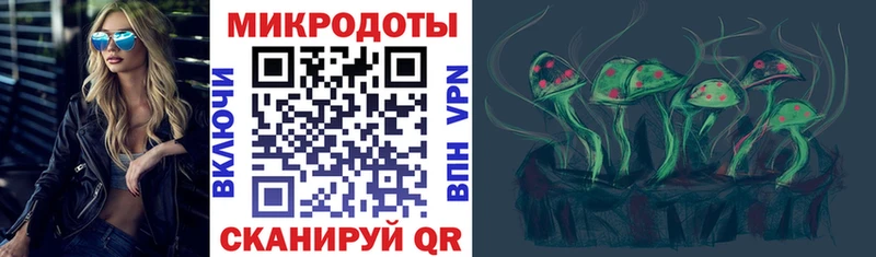 Галлюциногенные грибы Cubensis darknet телеграм Злынка