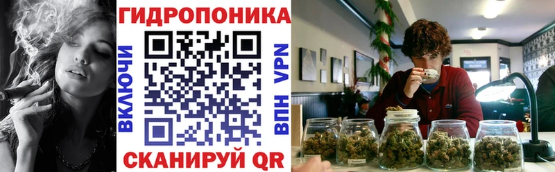 площадка как зайти  Злынка  Марихуана ГИДРОПОН  наркота 